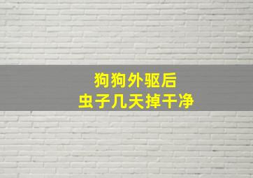 狗狗外驱后 虫子几天掉干净